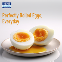 KENT Super Egg Boiler