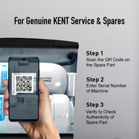 KENT Grand Star- B